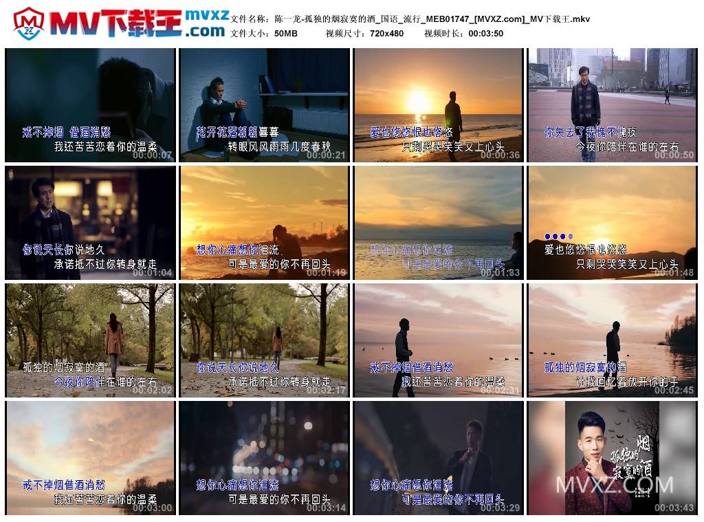 陈一龙-孤独的烟寂寞的酒_国语_流行_MEB01747